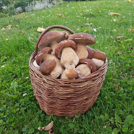 Vendégház Relax *