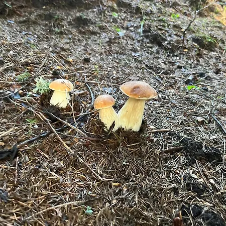 Relax ゲストハウス